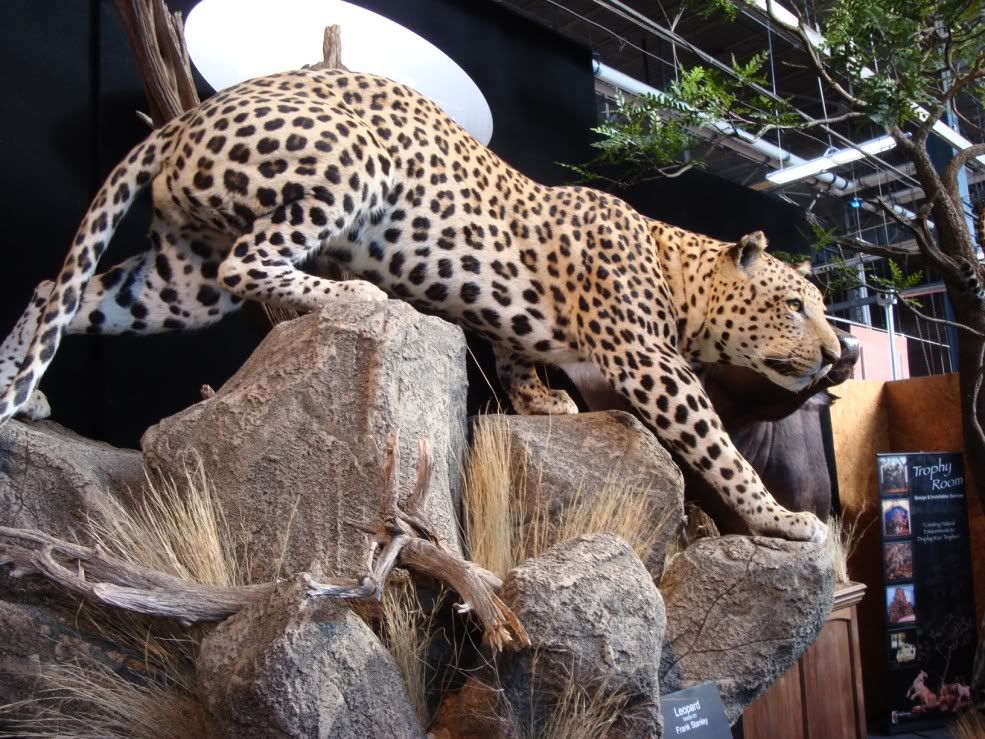 Eastern Sports Show Harrisburg Mount Pics Archery Talk Forum